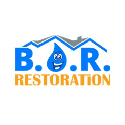 Best Option Restoration (B.O.R.) of Lakewood Logo