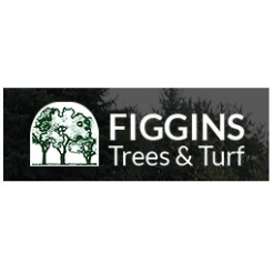 Figgins Trees & Turf, Inc. Logo