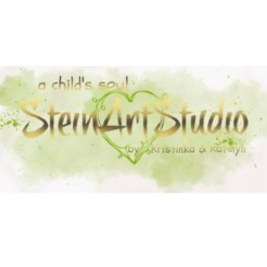 SteinArtStudio Photography Logo