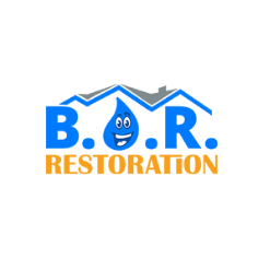 Best Option Restoration (B.O.R.) of South Charlotte Logo