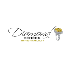 Diamond Veneer Travel jewelry Logo