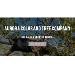 Aurora Tree Company Logo