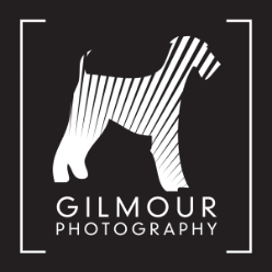 Gilmour Commercial Photography Logo