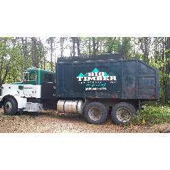 Big Timber Tree Service Logo