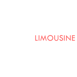 Boston Limousine Logo