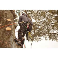 Geddie Tree & Land Services LLC Logo