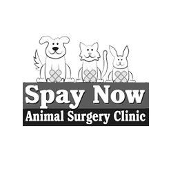 Spay Now Animal Surgery Clinic Logo