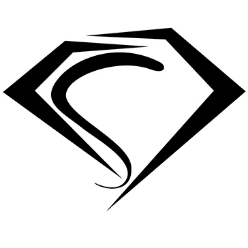 Diamond Studio Logo