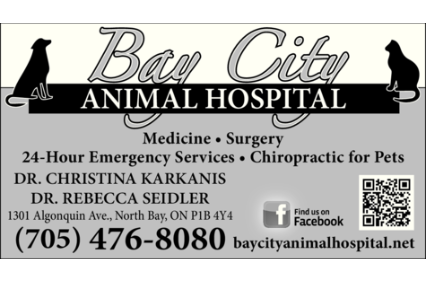 Picture uploaded by Bay City Animal Hospital