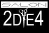 Salon 2Dye4 Logo