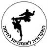 Martial Arts Academy Logo